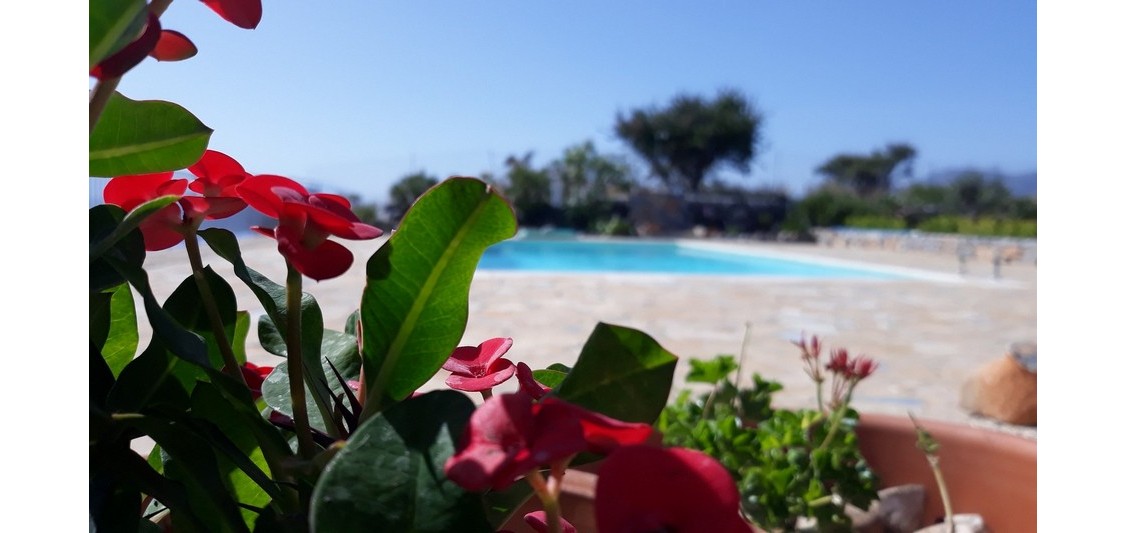 Exterior - Villa - 10 persons