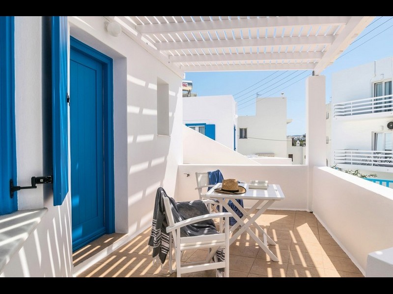 Monolocale 6 con vista giardino