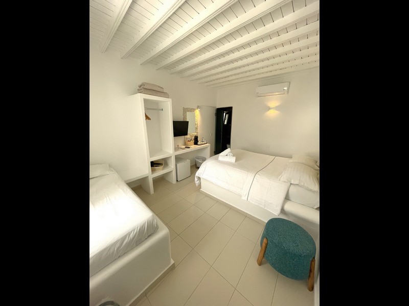 Трехместный номер (первый этаж) - Νο.9