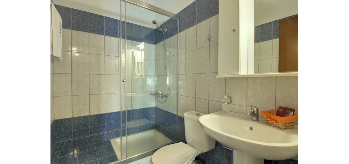 Standard Double Room - 2 persons