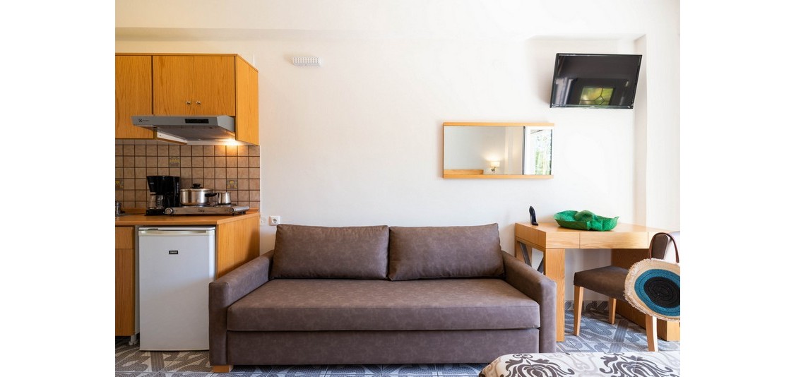 Studio Superior - 2-3 persoane