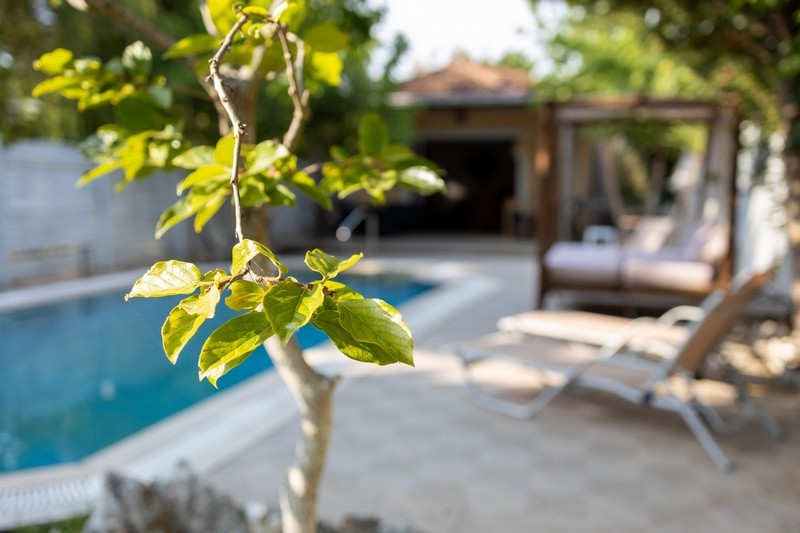 Villa mit privatem Pool - Adonis