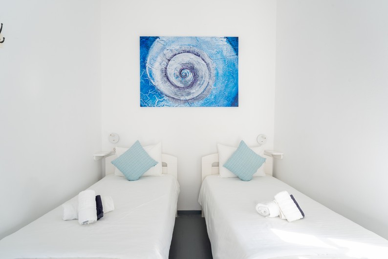 Deluxe Twin Room with terrace